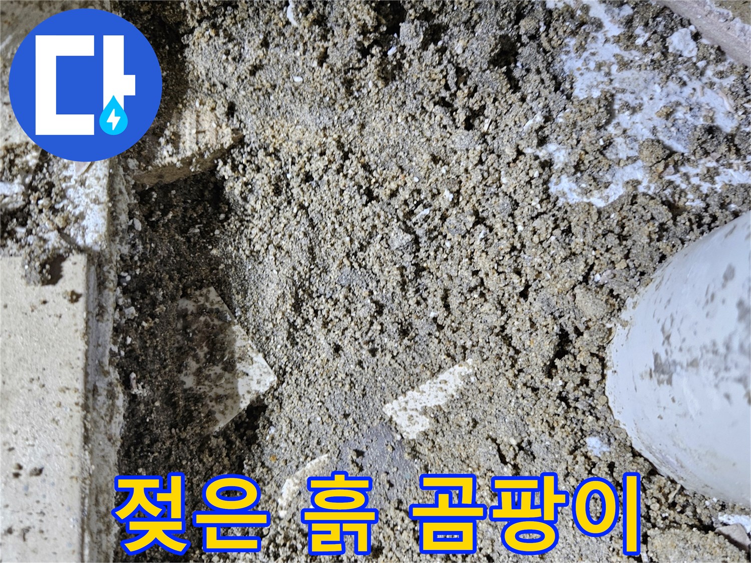 양평 용문면 어수리 누수 - 젖은 흙과 곰팡이 - 누수 진행