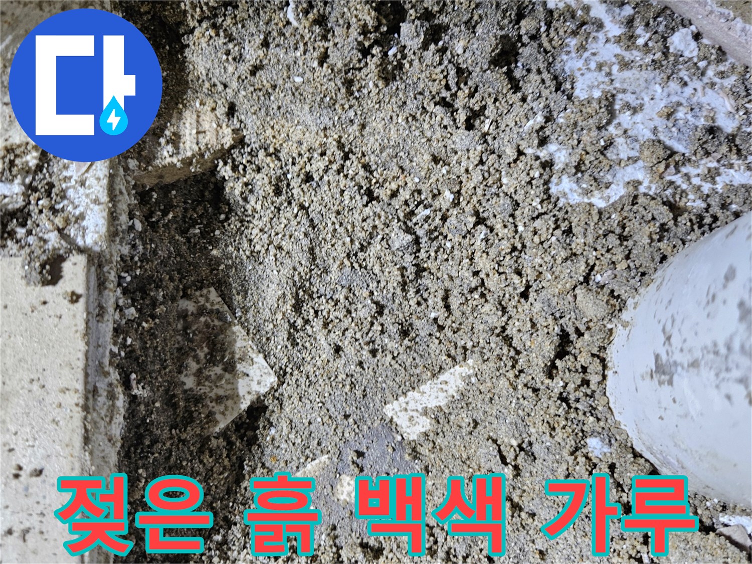 양평 용문면 어수리 누수 - 젖은 흙과 백색 가루 - 석회 용출