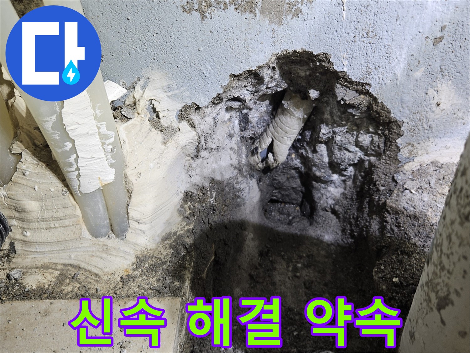양평 용문면 어수리 - 빠른 출동과 완벽한 해결 약속