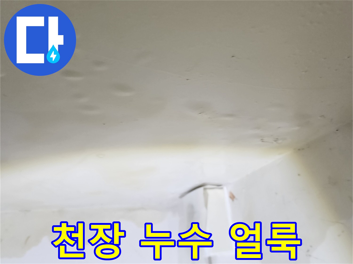 아파트 천장에 발생한 젖은 얼룩과 물방을 맺힌 상태