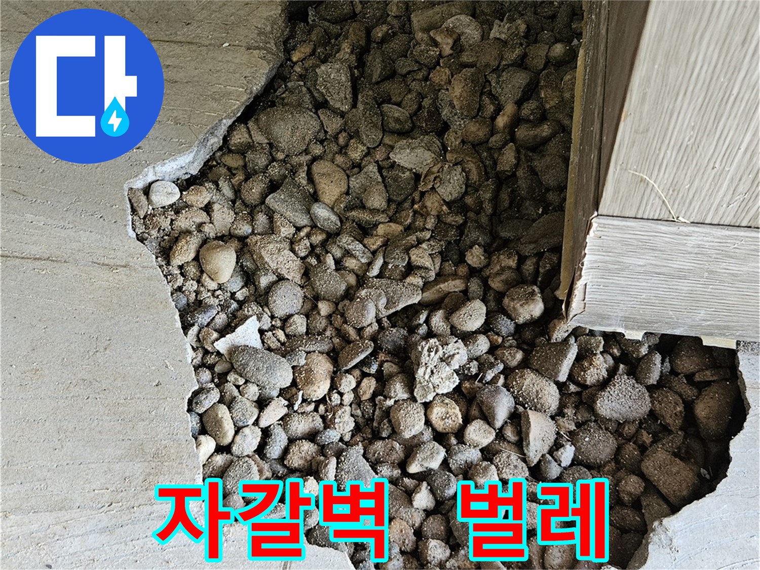 가남읍 월평리 자갈벽 틈새로 벌레가 들락날락