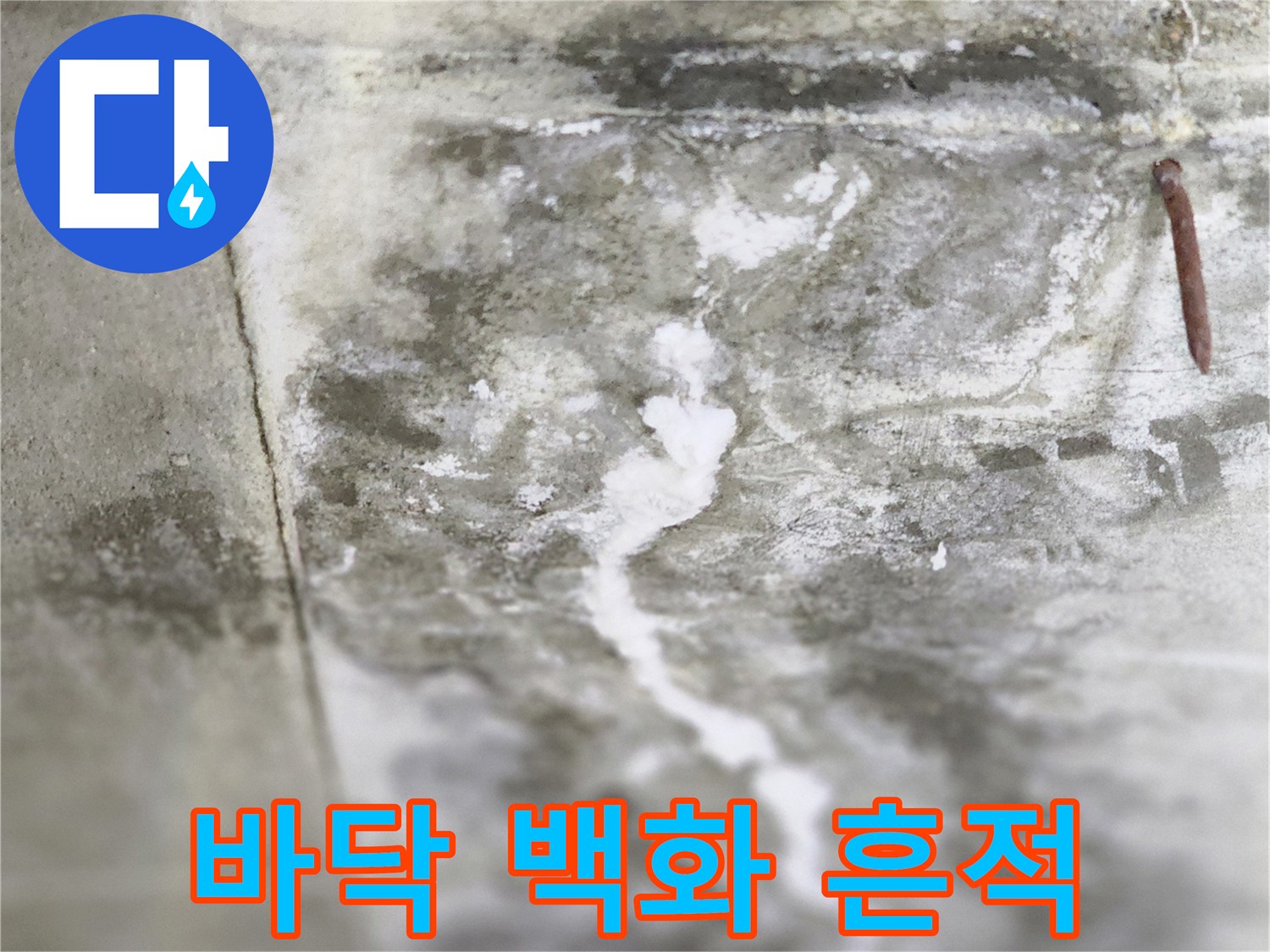 습기로 인해 하얗게 변한 바닥 타일 주변부