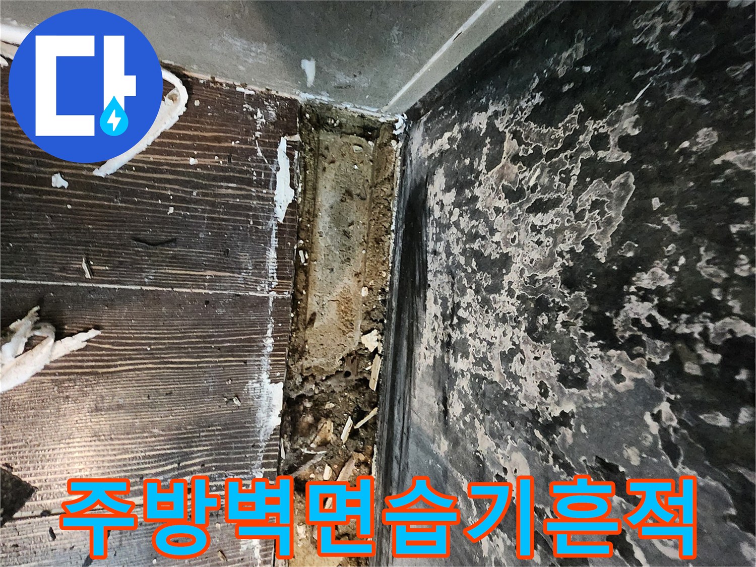 양주시 삼숭동 현장의-물샘으로 인한-벽면 곰팡이 및 습기 흔적