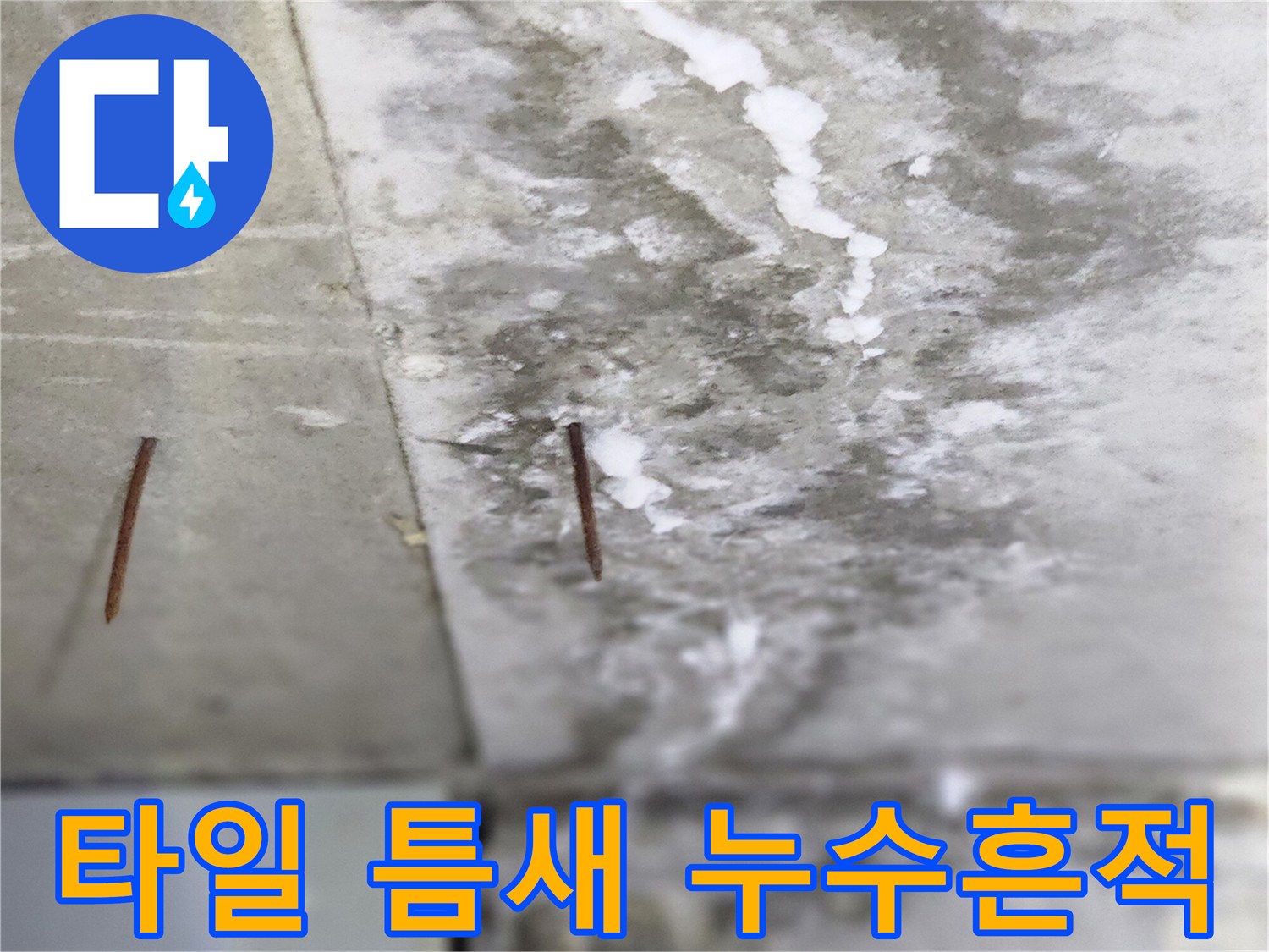 하얗게 일어난 타일 사이의 누수 흔적 사진