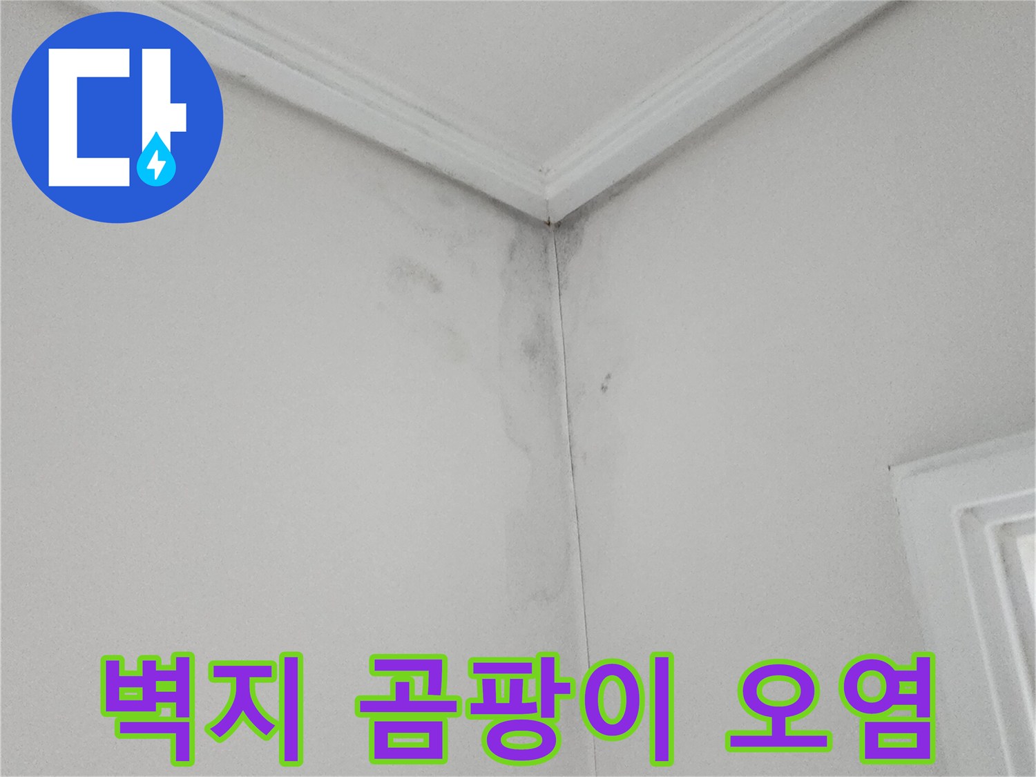 벽면 구석에 나타난 습기로 인한 곰팡이 흔적