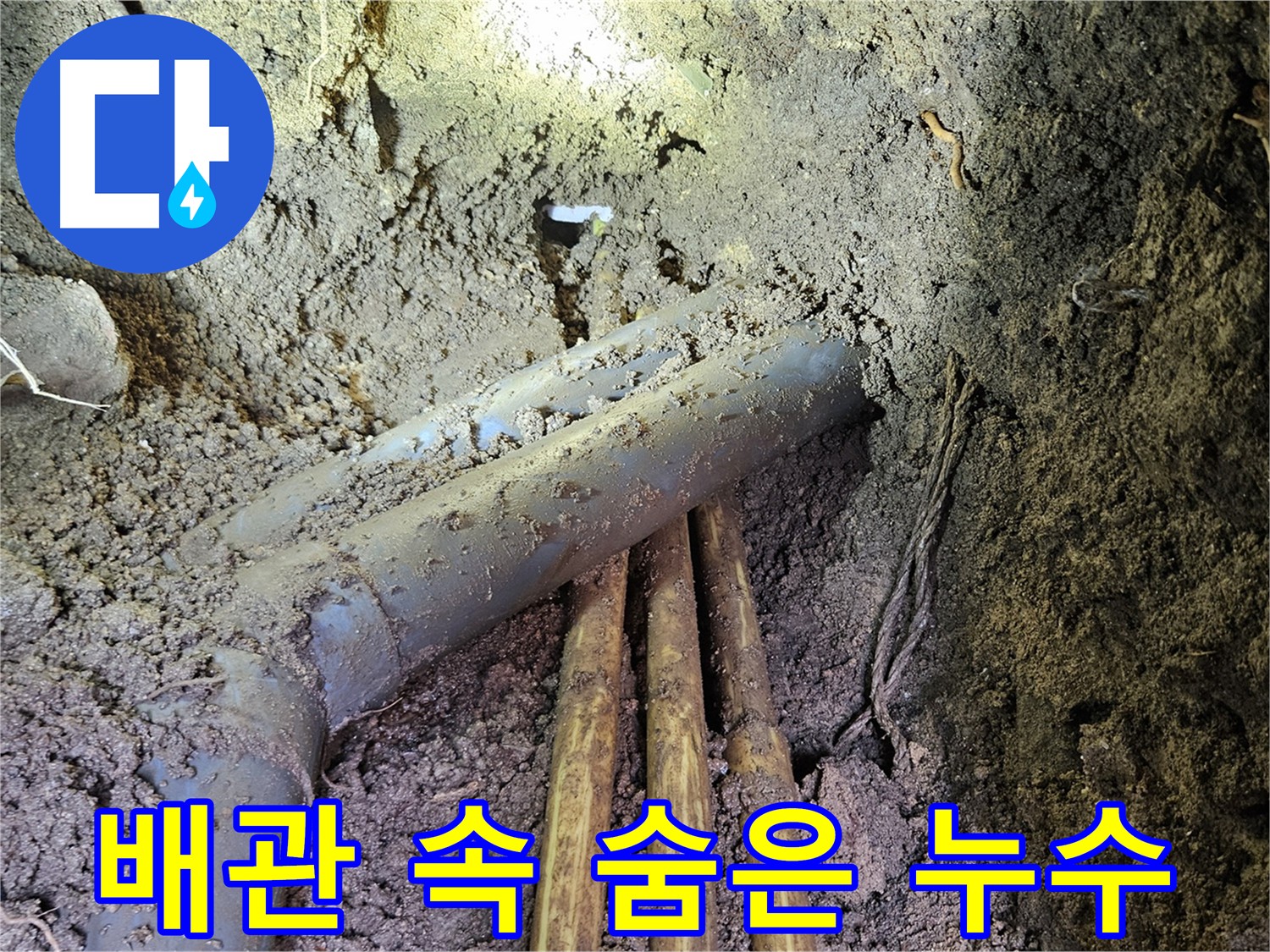 흙 속에 묻힌 배관 누수 탐지 - 최첨단 장비 동원 누수 해결