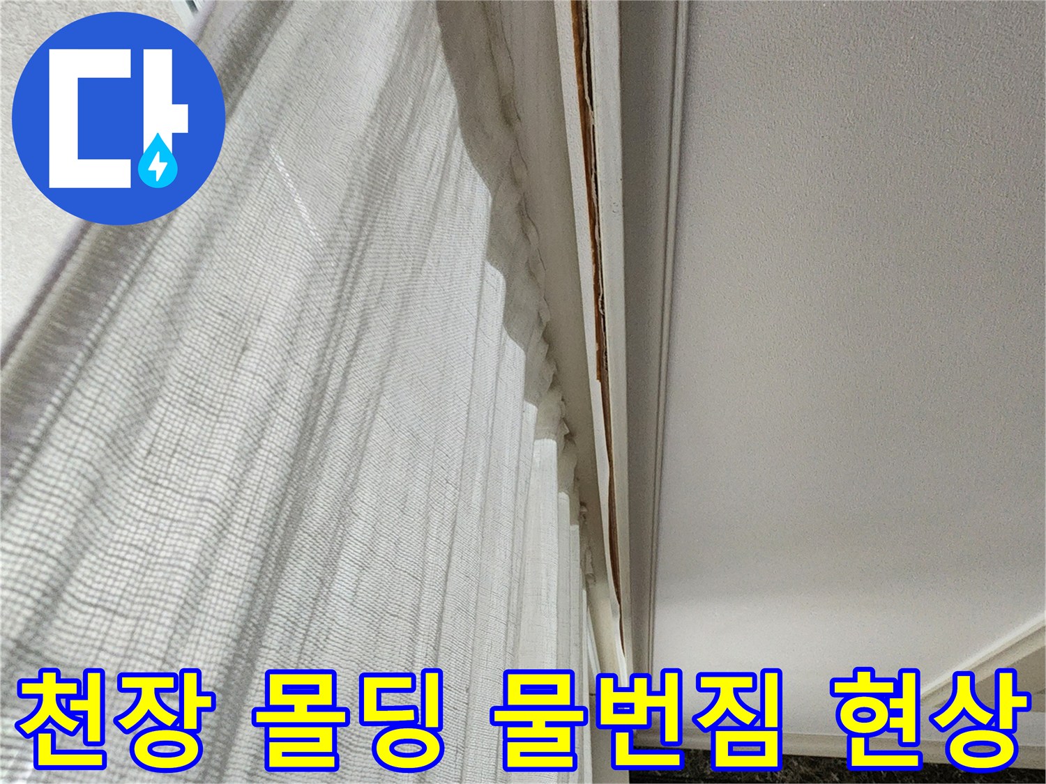 아파트 천장 몰딩과 벽지가 젖어 있는 누수 흔적 부위