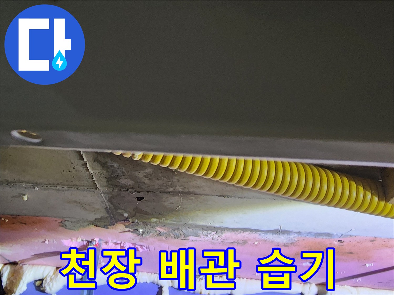 젖어 있는 천장 내부와 노란색 주름관의 모습