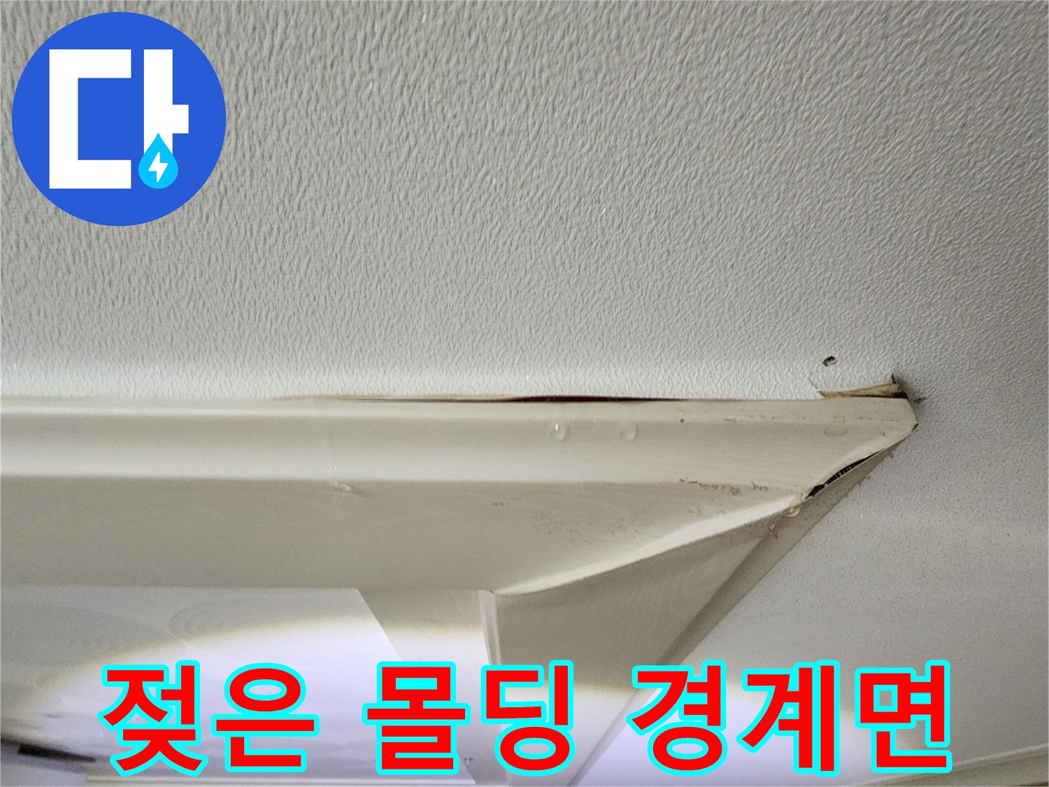 천장 몰딩과 벽지의 경계 부위 수분 침투 흔적