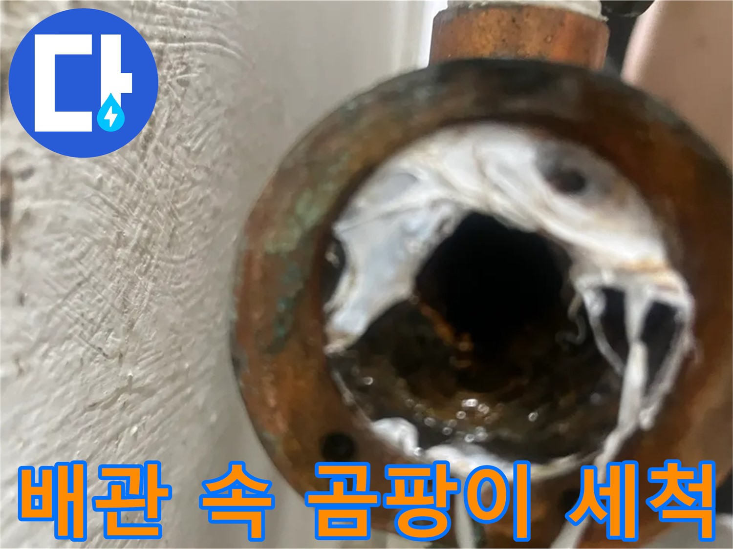 신월동 누수 해결 - 배관 속 하얀 곰팡이 재발 방지 세척