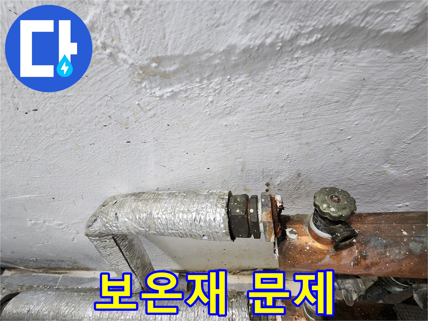 양천구 신월동 누수 - 배관 보온재 문제 발견