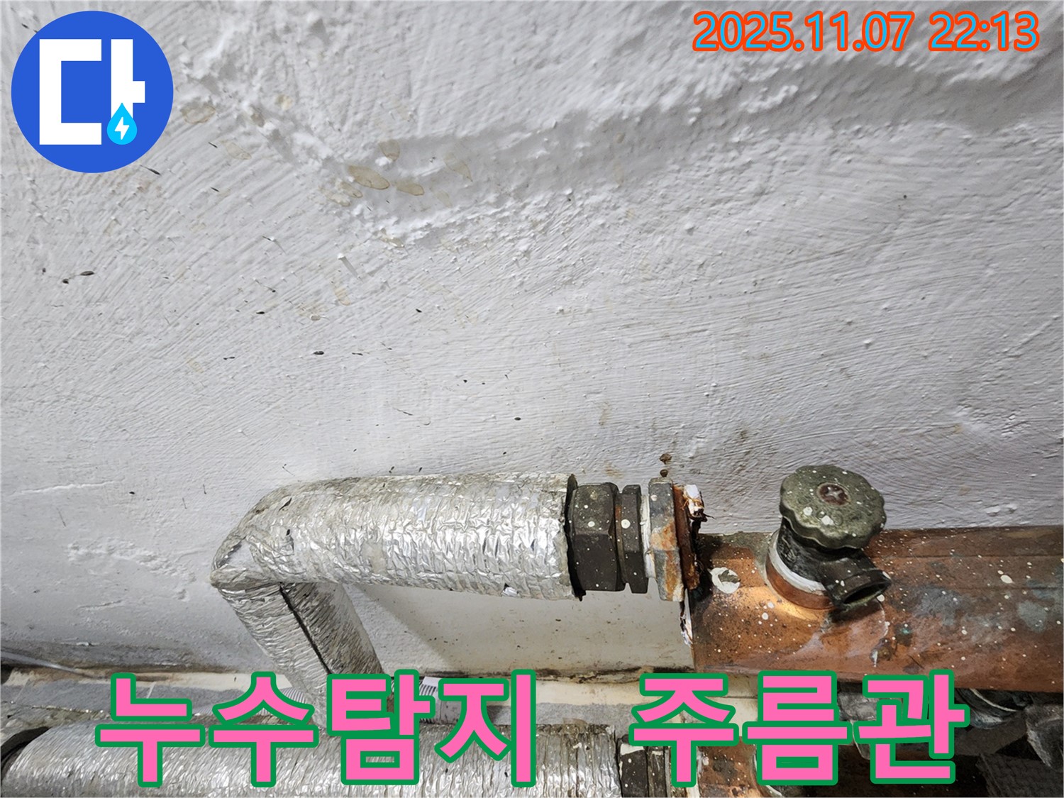 양천구 신월동 주택 누수탐지 - 노후된 주름관에서 발생한 누수를 정확하게 진단하고 신속하게 교체했습니다.