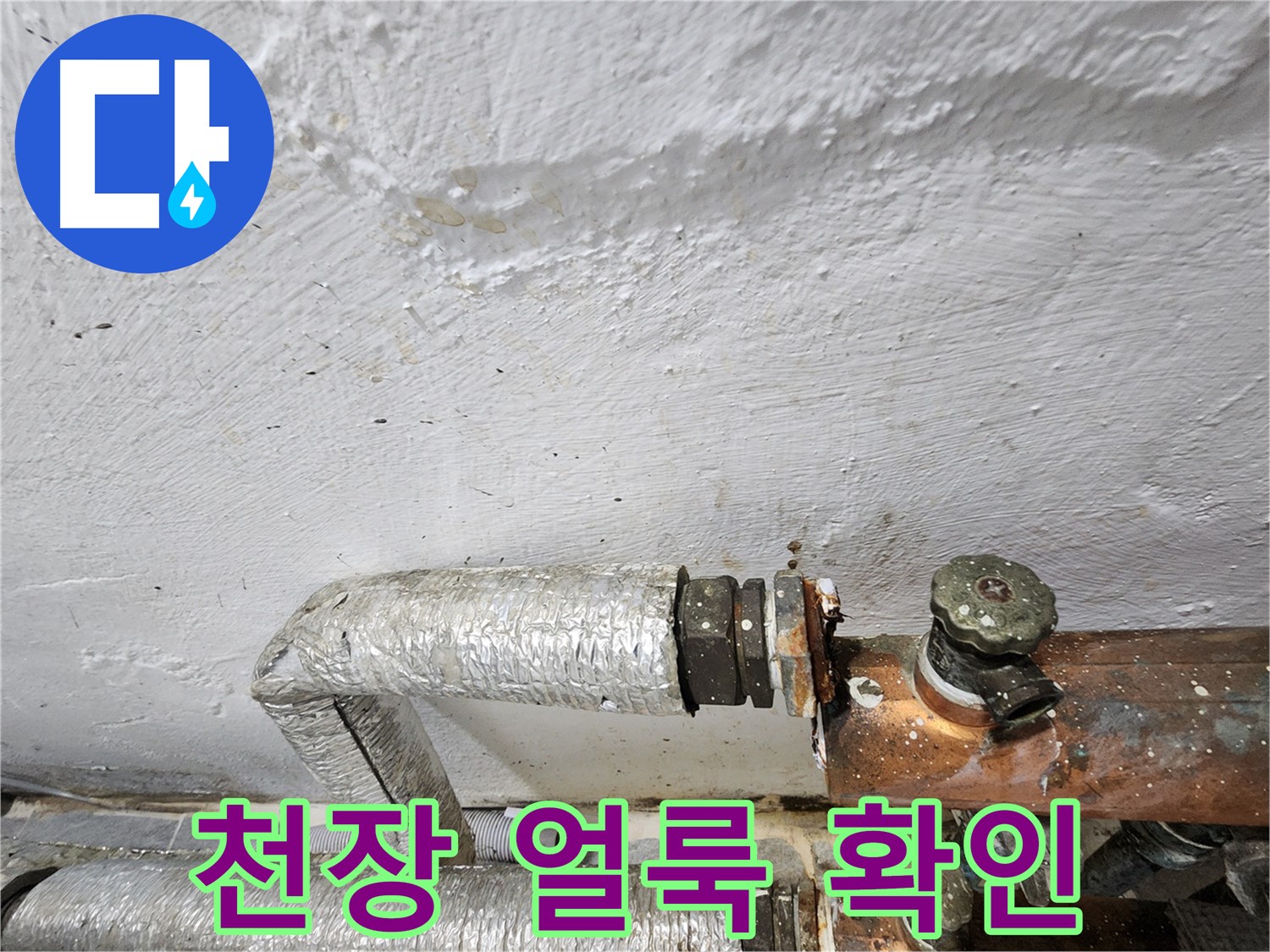 양천구 신월동 한일주택 누수 - 천장 누수 얼룩, 주름관 노후 원인