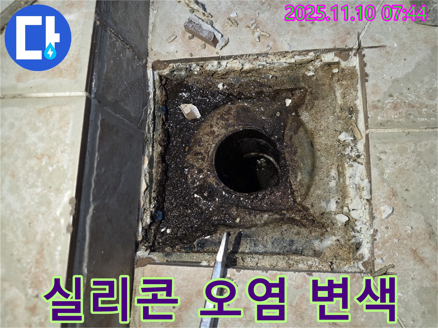 안양 초원맨션 누수 - 욕실 하수구 주변 실리콘 오염 및 변색 상태 꼼꼼하게 점검
