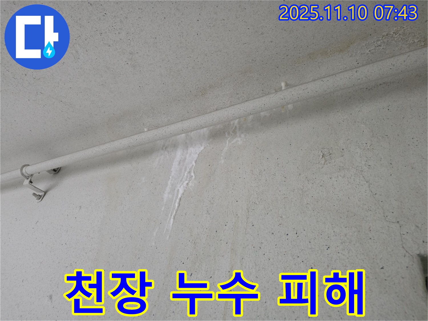 천장 누수 피해 - 안양 만안구 초원맨션에서 발생한 누수로 인해 천장에 물이 떨어지고 있습니다. 누수탐지 전문가가 원인을 찾고 있습니다.