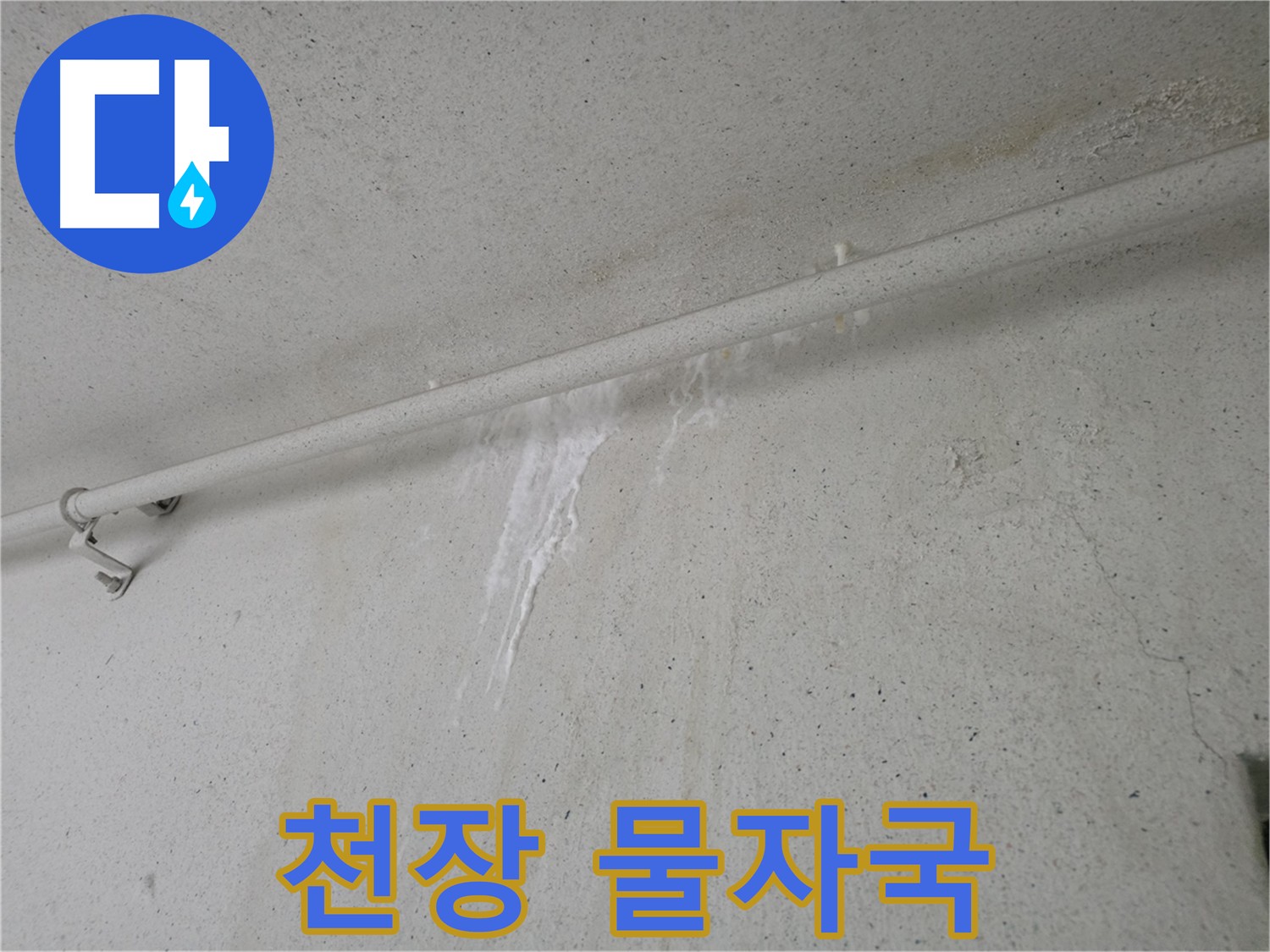 천장 물자국 - 안양 누수 의심 및 정밀 탐지
