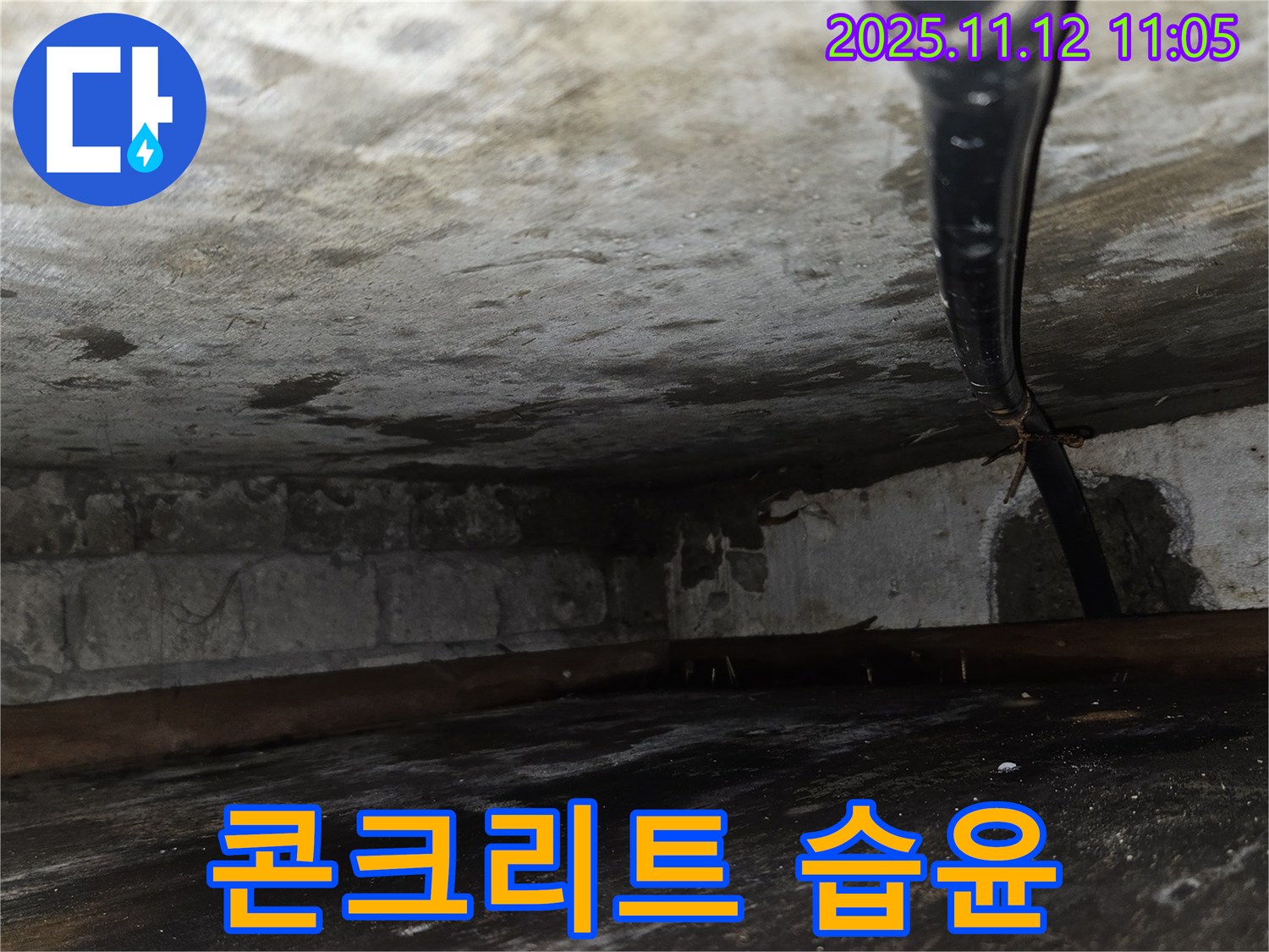 콘크리트 습윤 - 누수로 인해 콘크리트 천장이 습윤해진 상태 점검