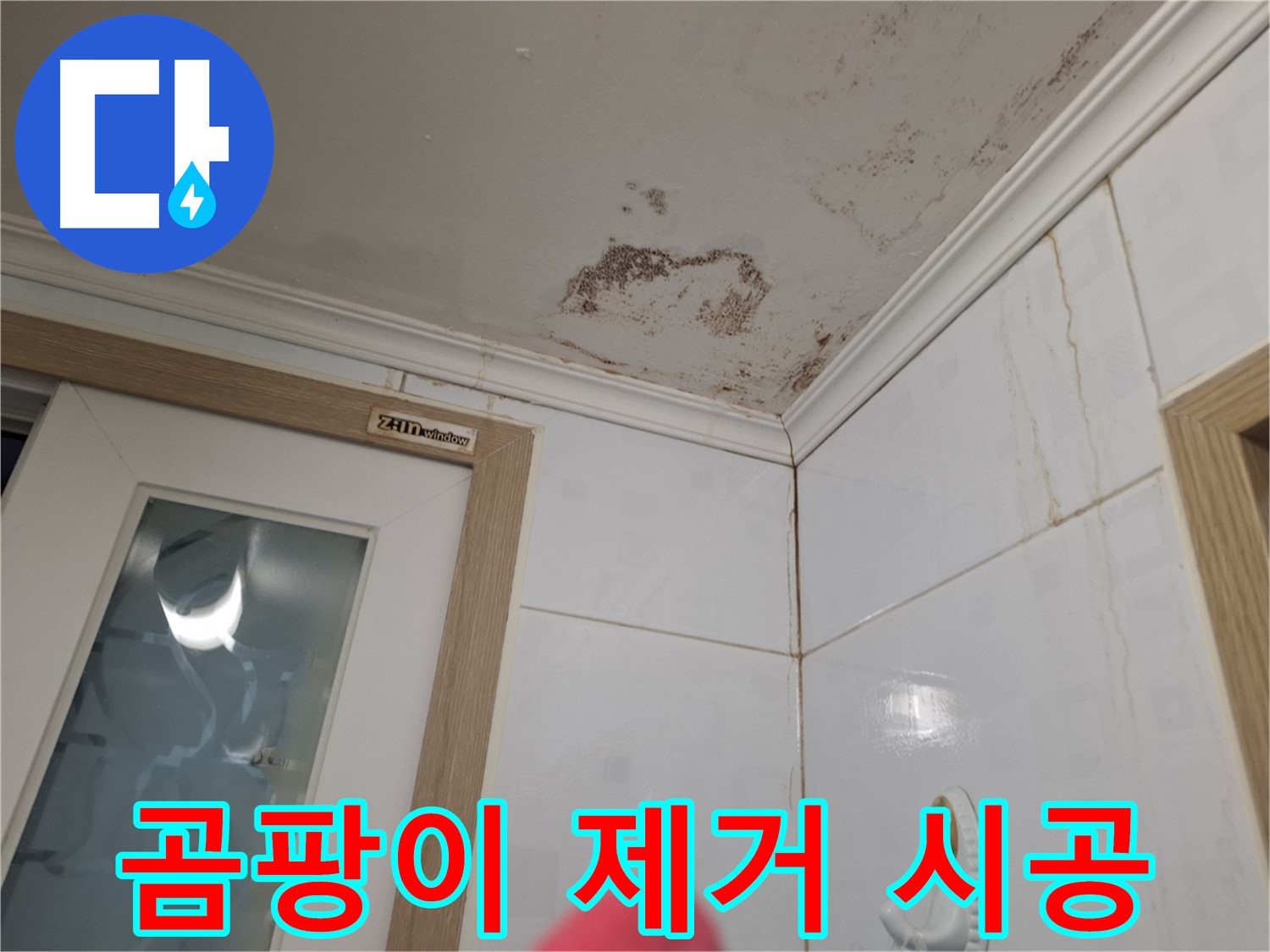 곰팡이 제거 시공 - 건강한 환경 - 쾌적한 공간 조성