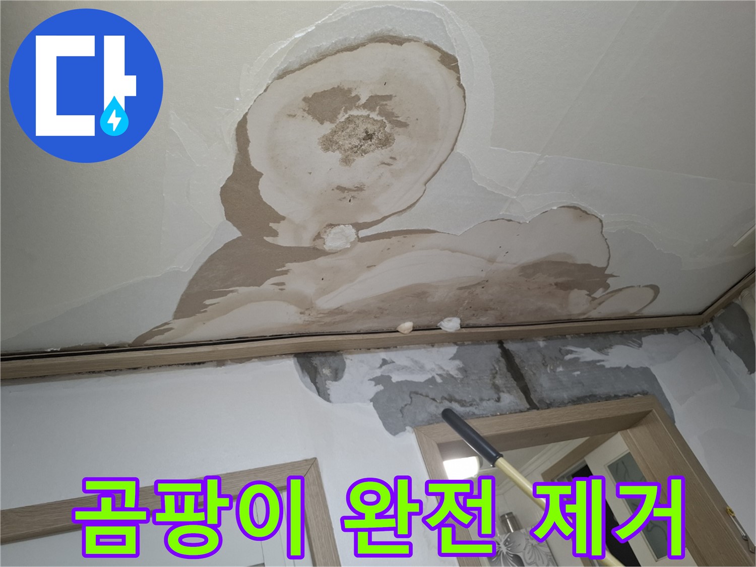곰팡이 핀 석고보드 제거 - 건강한 공간으로!