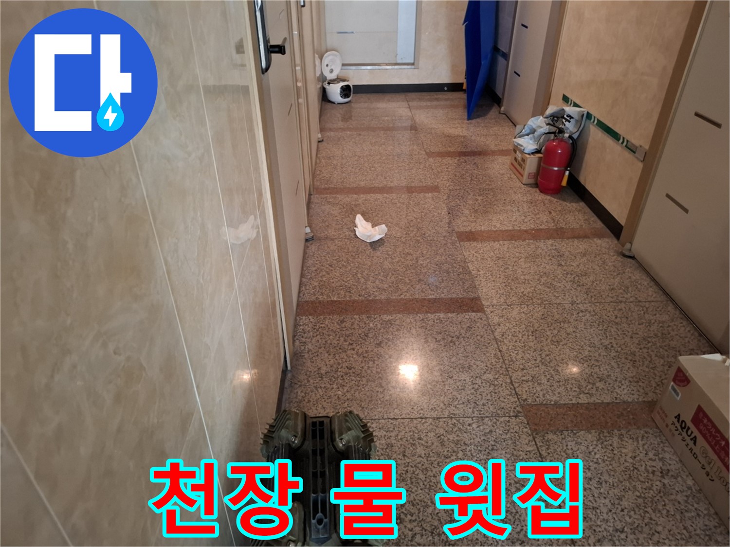 복도 천장에서 물 떨어짐 - 윗집 누수 확실한가요?!