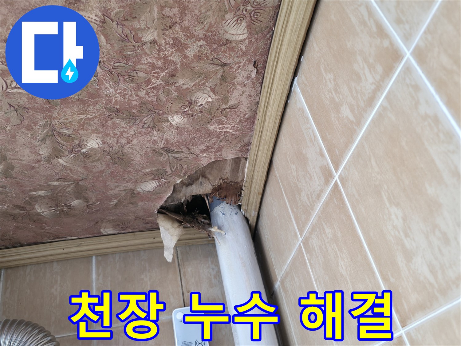 천장 배관 누수 정밀 분석 - 숨겨진 원인까지 찾아내는 전문 기술