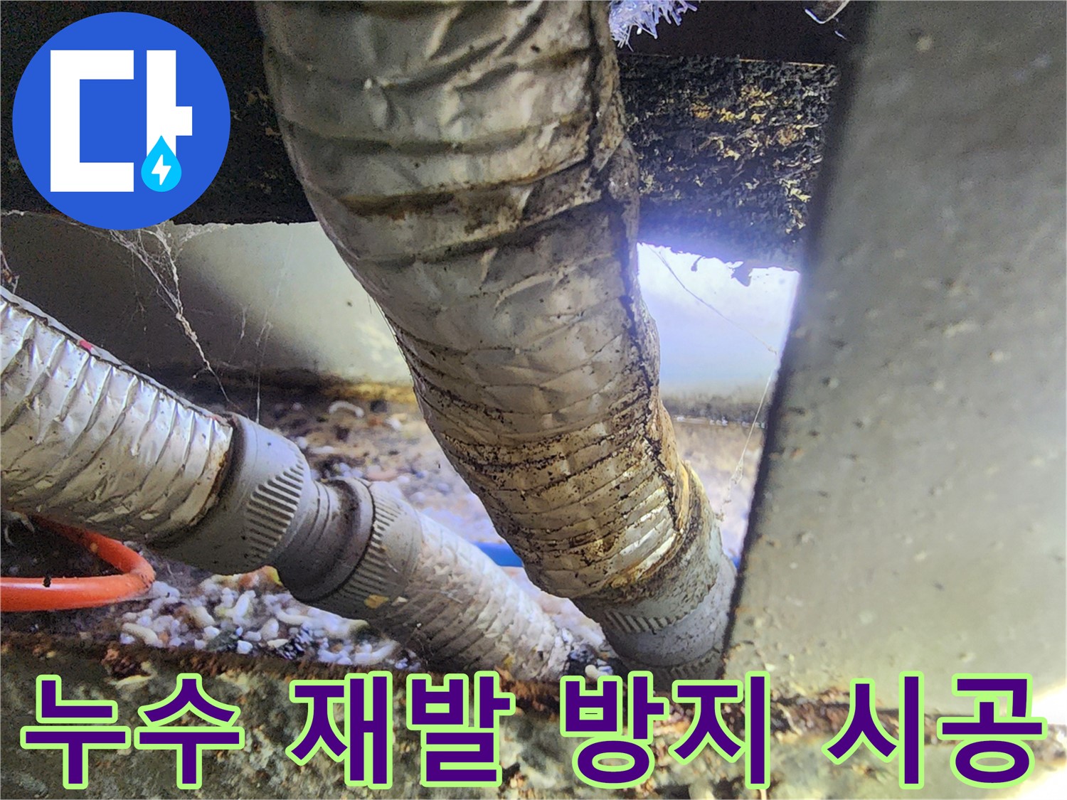 안산 푸르지오 아파트 천장 누수 - 꼼꼼한 재발 방지 시공
