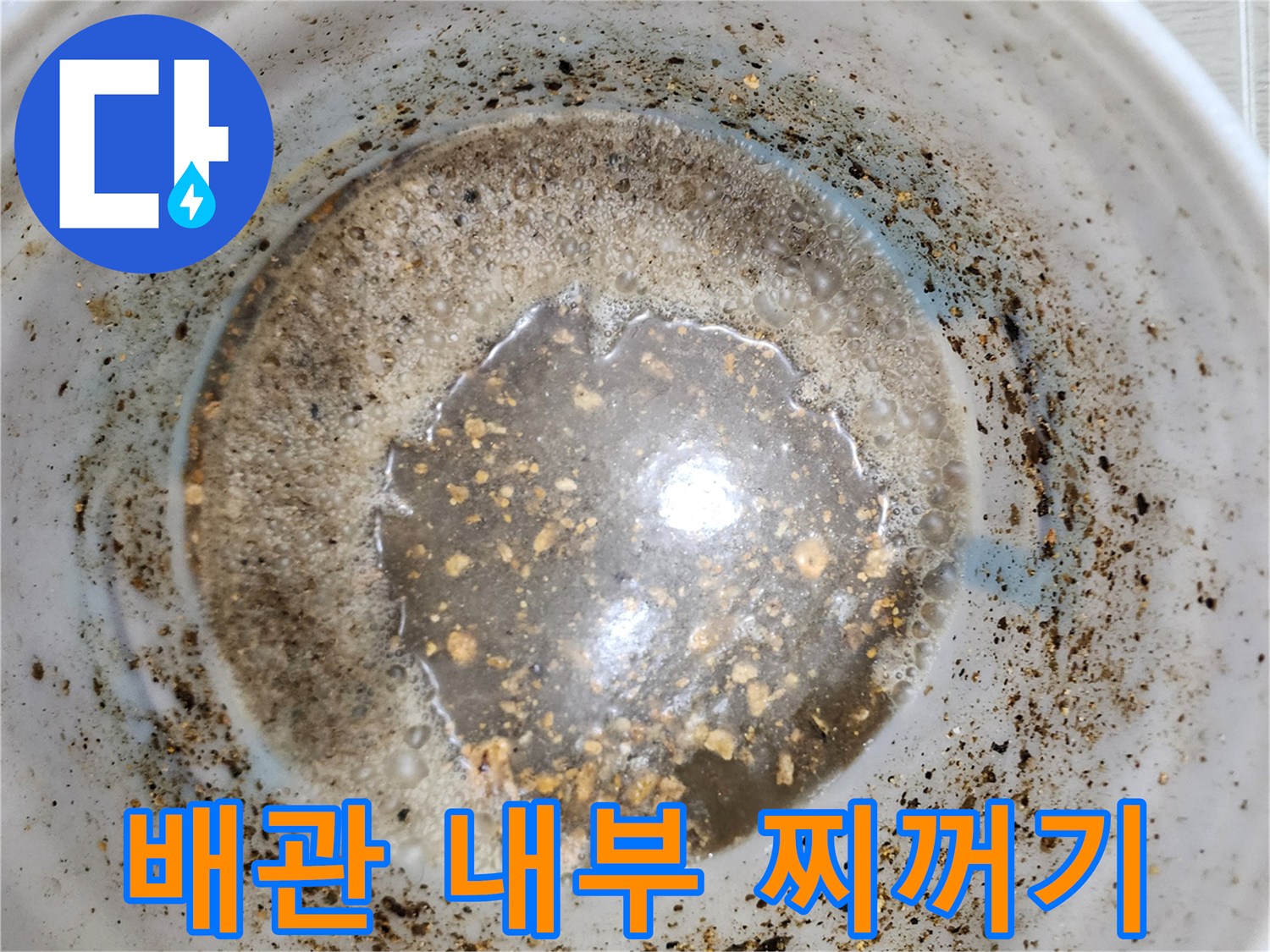 배수구 통로를 막고 있는 오염된 슬러지 - 정밀 내시경 진단 결과