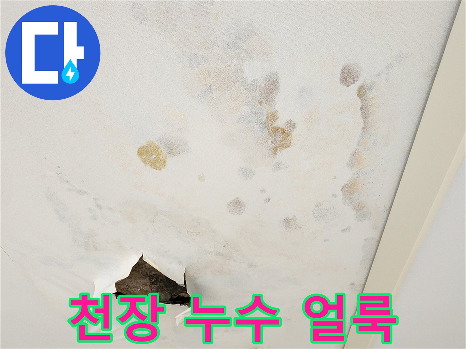 넓게 퍼진 천장 누수 흔적과 곰팡이 발생 부위