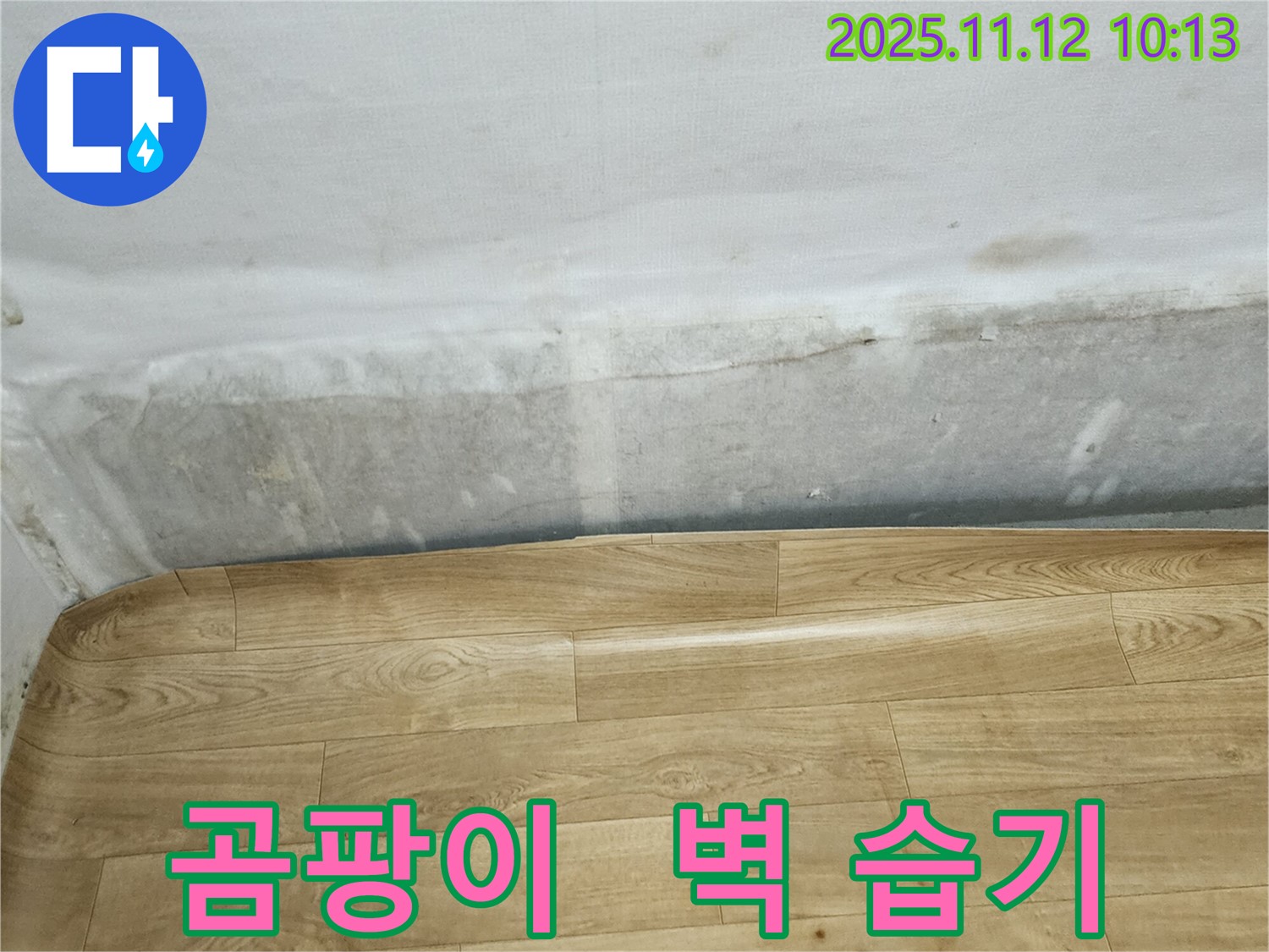 무봉리 누수 현장 - 곰팡이 냄새와 함께 벽 하단 습기는 누수 의심 신호입니다 - 전문가에게 문의하세요.