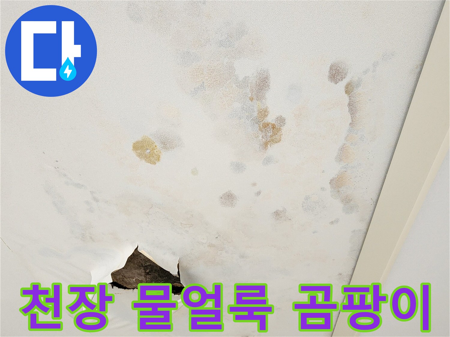 물에 젖어 변색된 천장 마감재와 곰팡이 흔적