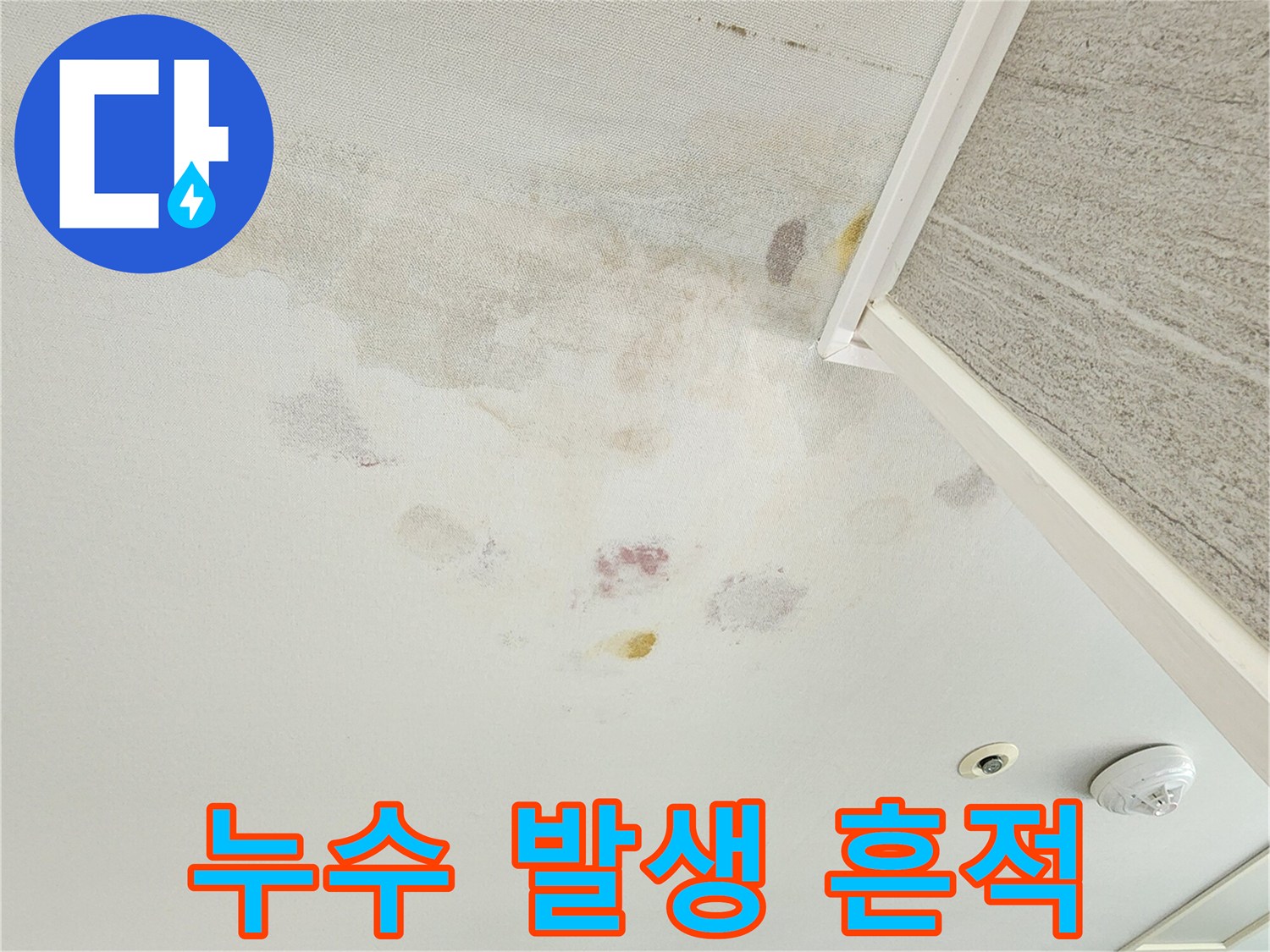 벽지에-남은-누수-물자국과-곰팡이-흔적