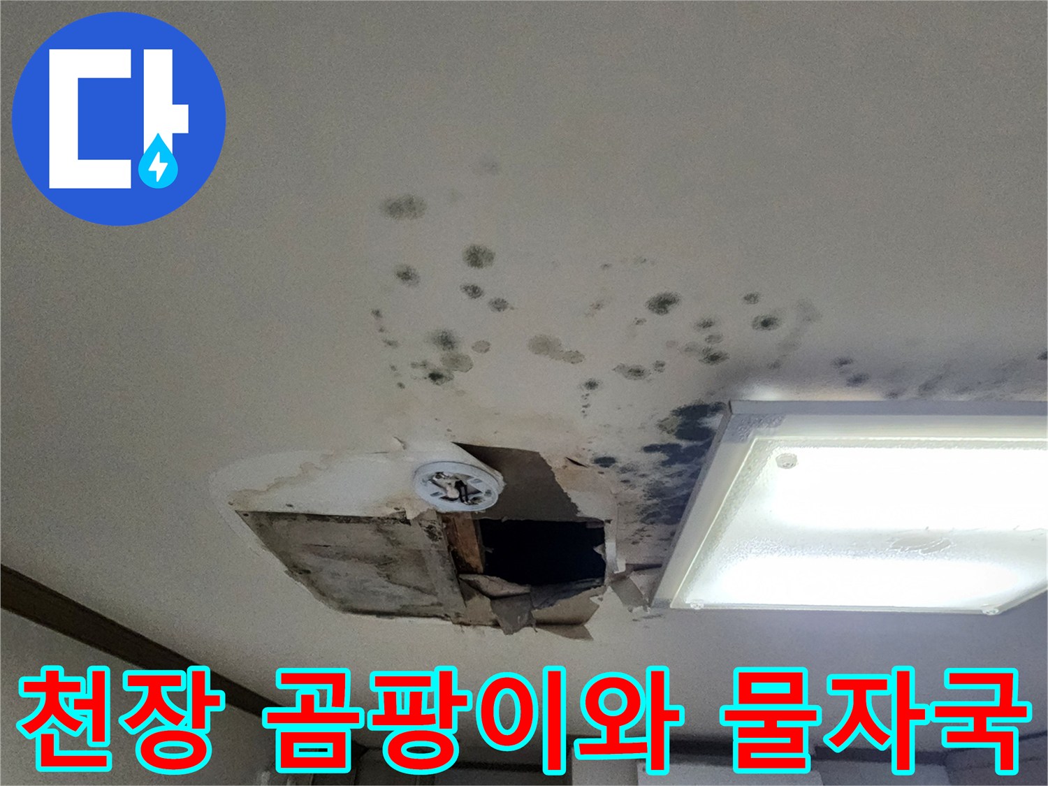 아파트 천장 마감재 탈락-및-주변 곰팡이 흔적 상태