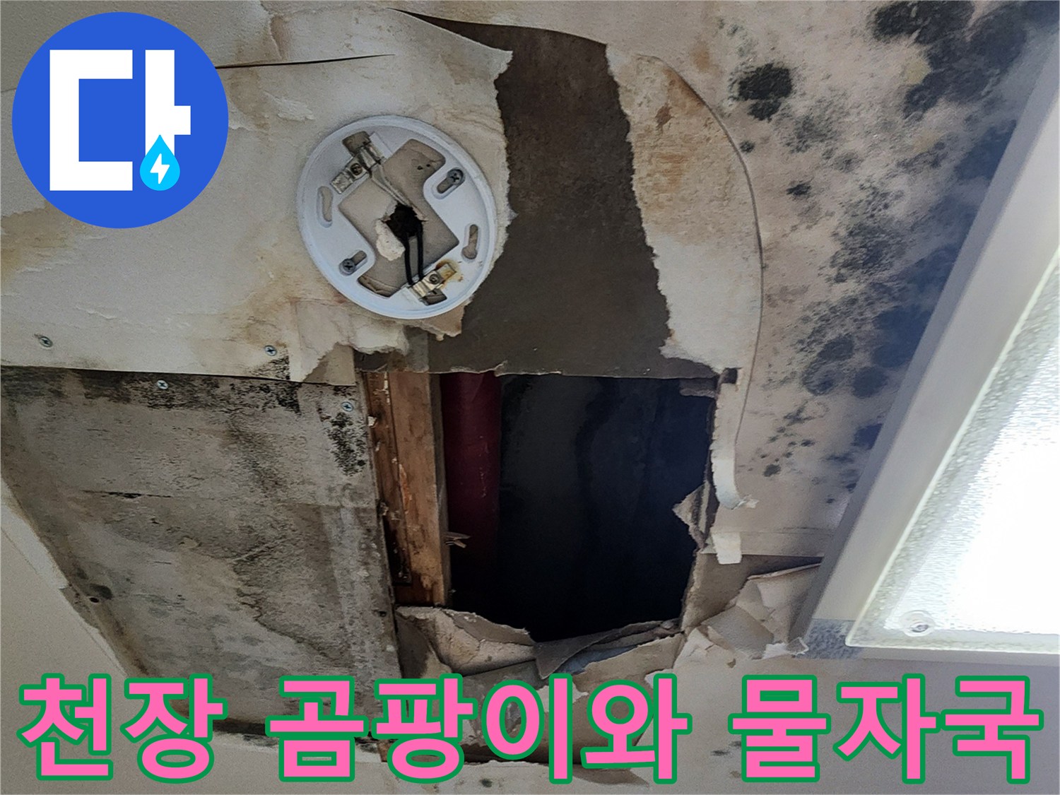 아파트 천장 마감재의 검은 곰팡이와 습기로 인한 얼룩 상태