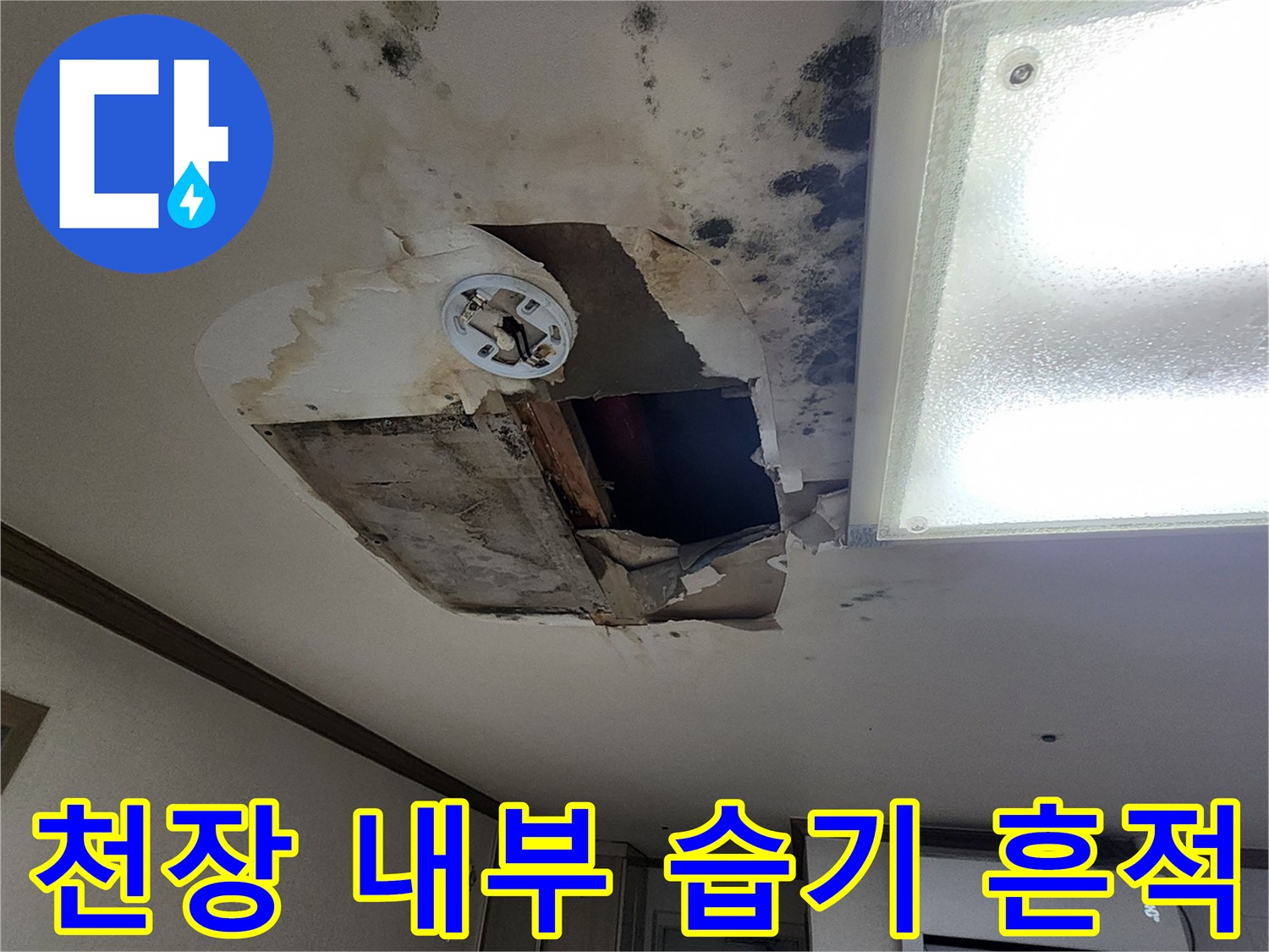 천장 절개 부위 주변의 심한 물 얼룩과 곰팡이