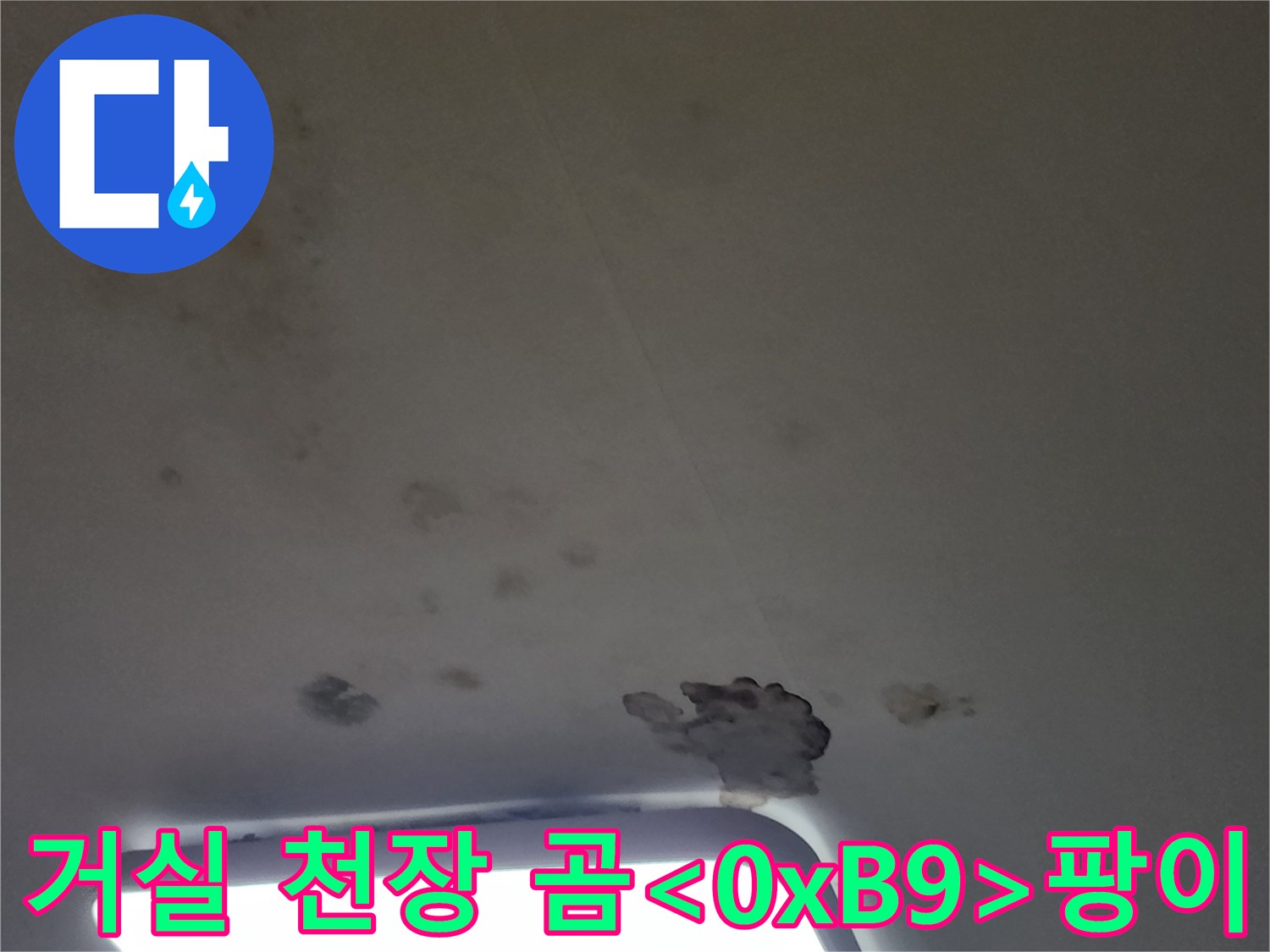 천장 조명 주변에 발생한 짙은 곰팡이 흔적