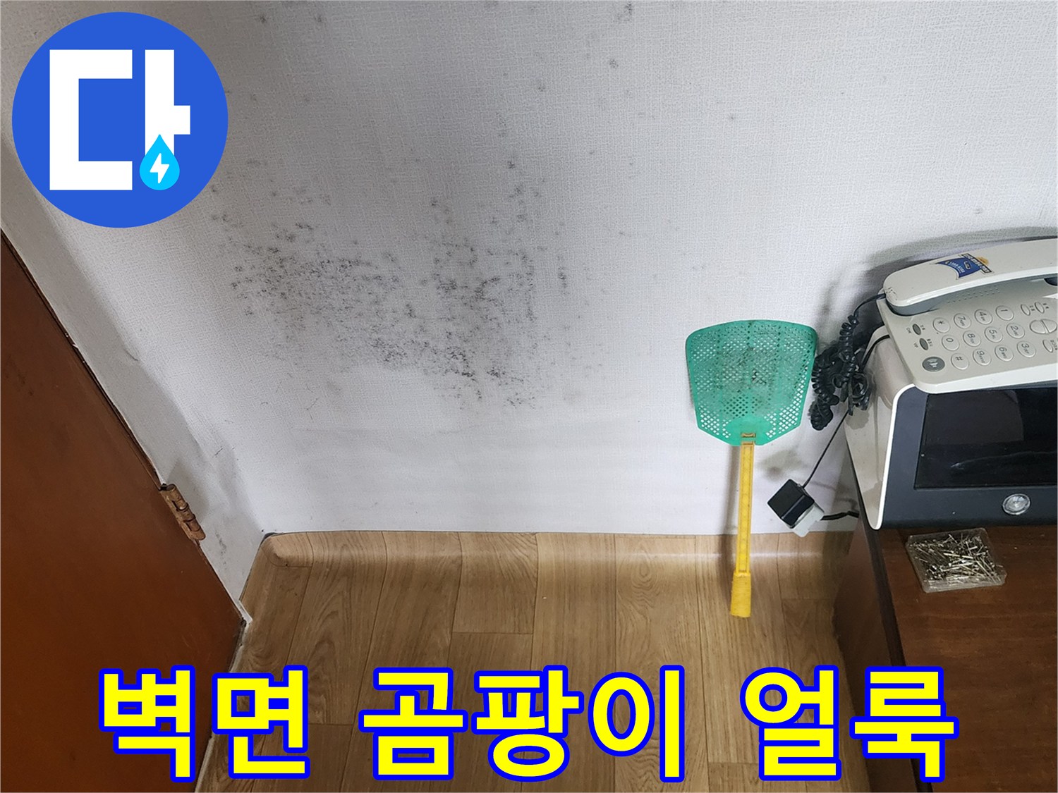 포천 무봉리 아파트 내부 벽면에 발생한 넓은 범위의 곰팡이와 습기 흔적