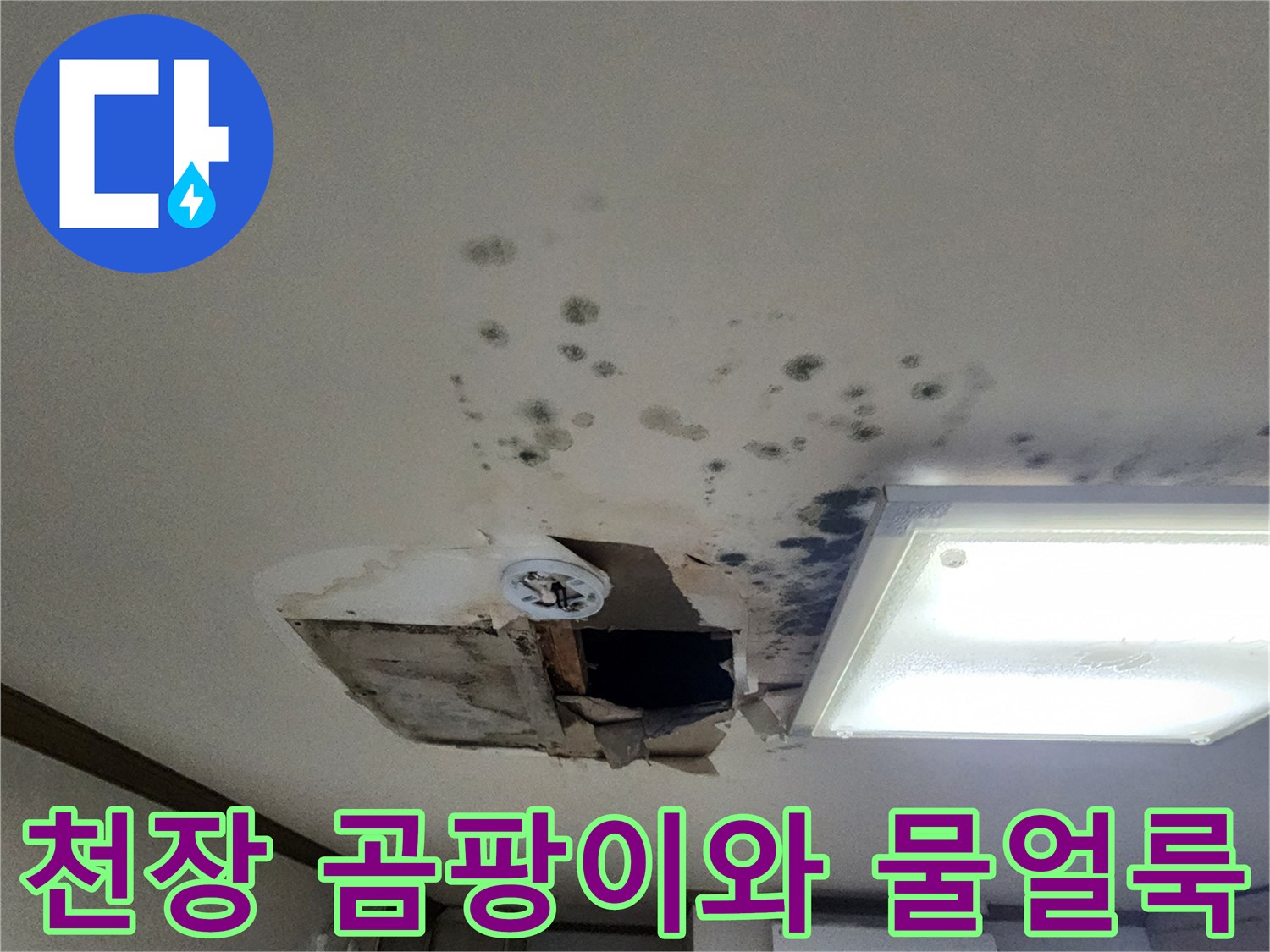 포천 소흘읍 아파트 천장에 발생한 곰팡이와 물자국 현황