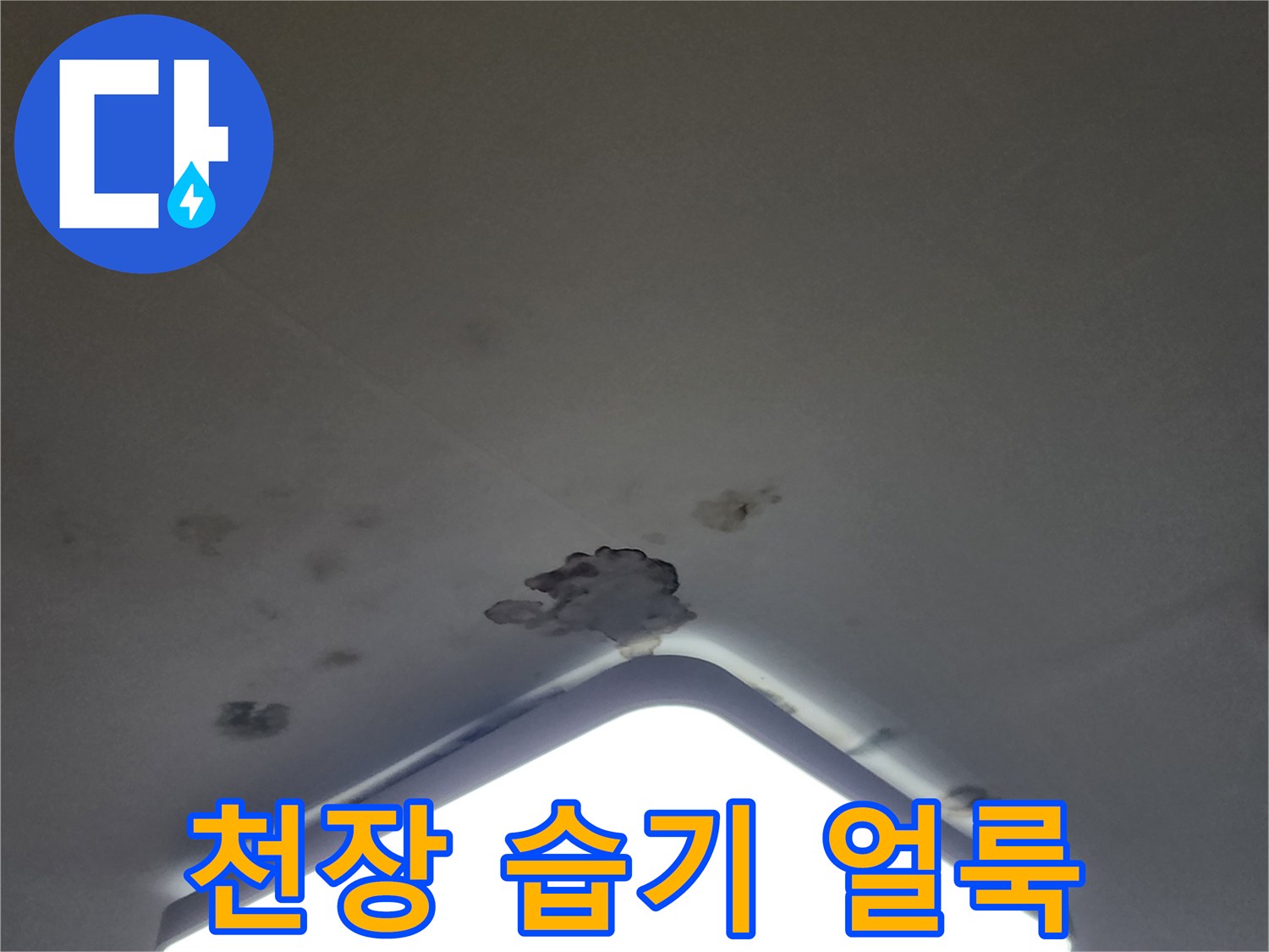 하얀색 천장 마감재 위로 퍼진 갈색 누수 흔적과 곰팡이