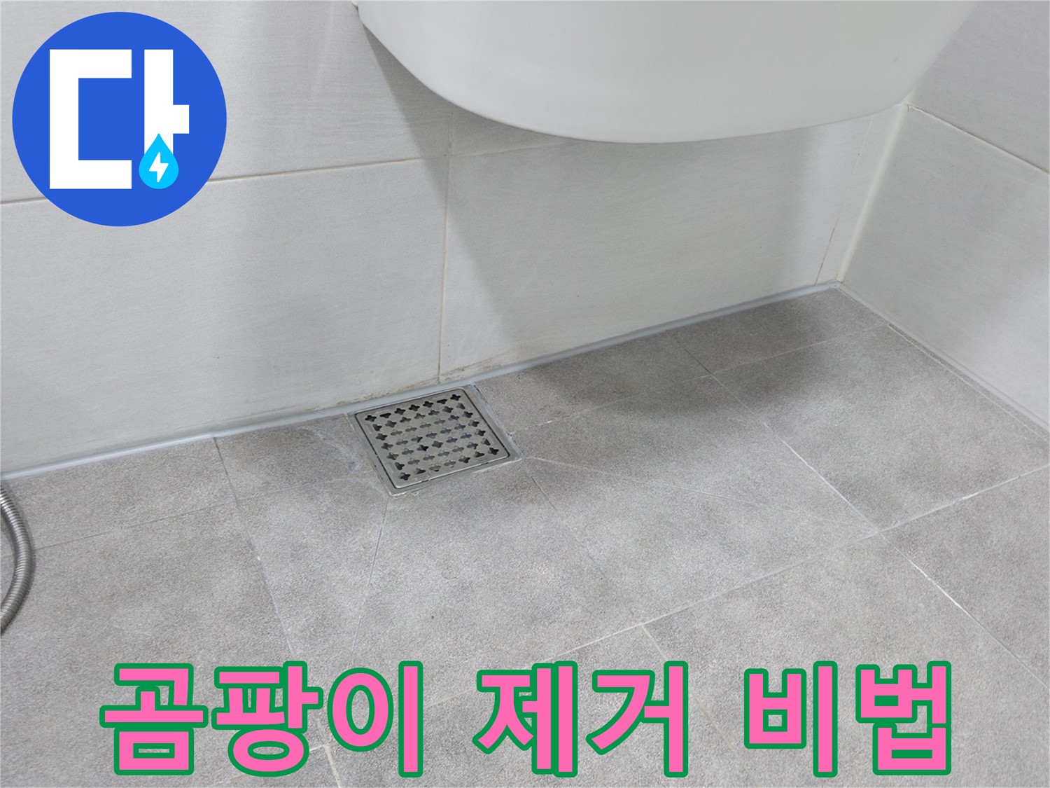 욕실 곰팡이 - 곰팡이 제거 비법 공개