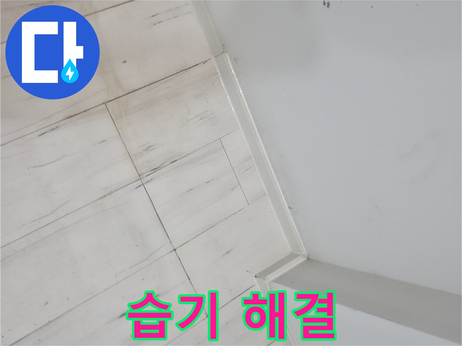 관악구 마루 습기 누수 - 건물 가치 향상 및 쾌적한 환경 조성
