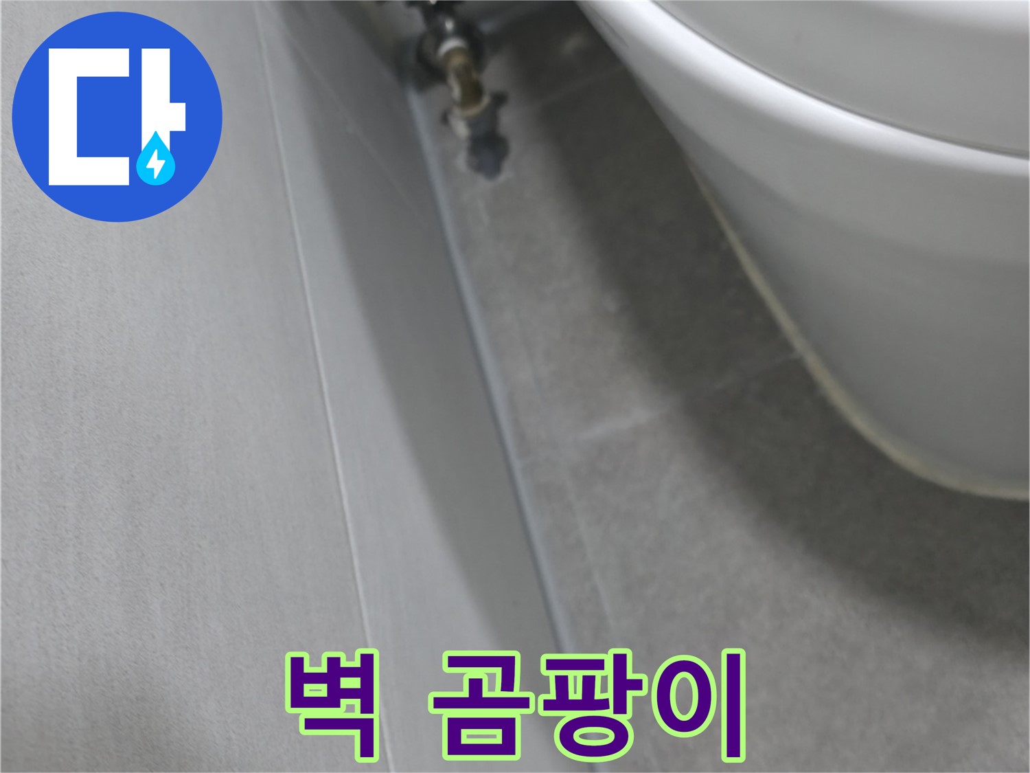 변기 옆 벽 곰팡이 - 문제 부위 클로즈업