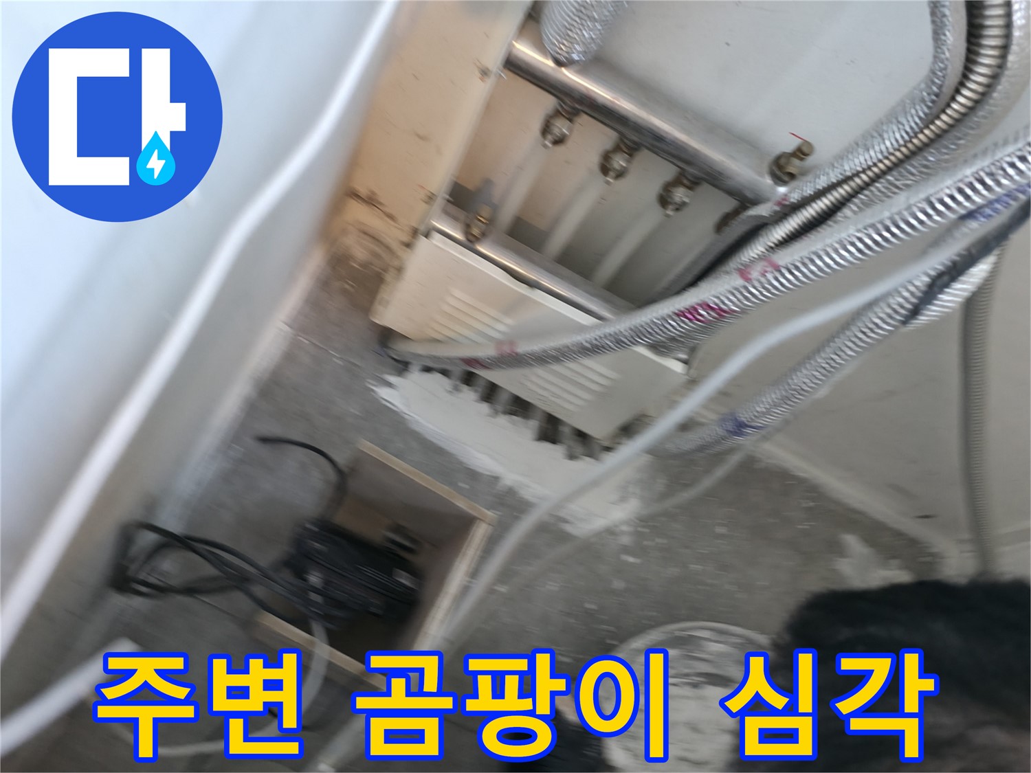 신림 하이츠빌라 분배기 - 주변 곰팡이 심각, 건강 위협