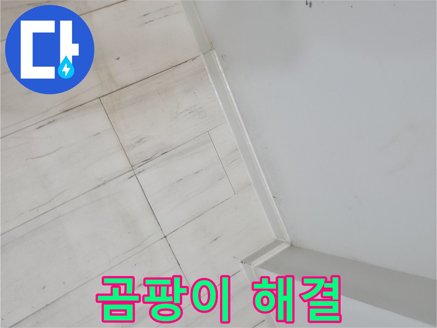 신림동 빌라 벽 곰팡이 누수 고민 해결