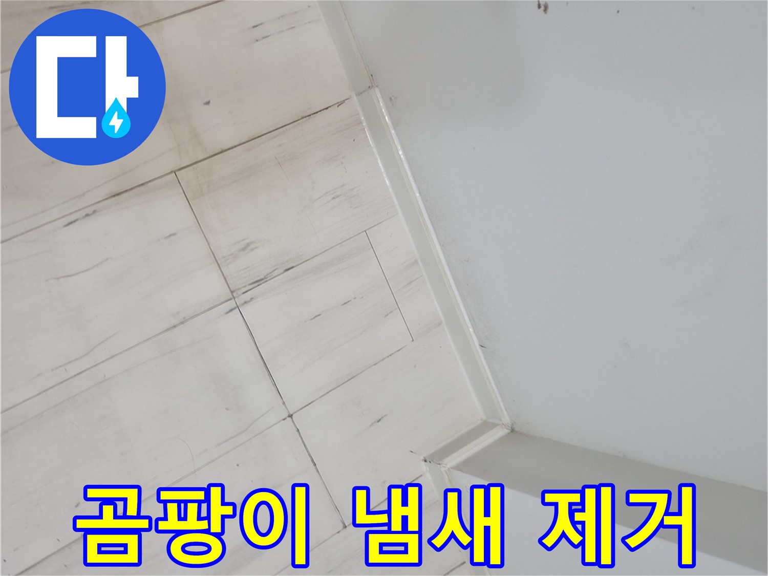 신림동 장판 들뜸 - 곰팡이 냄새 제거