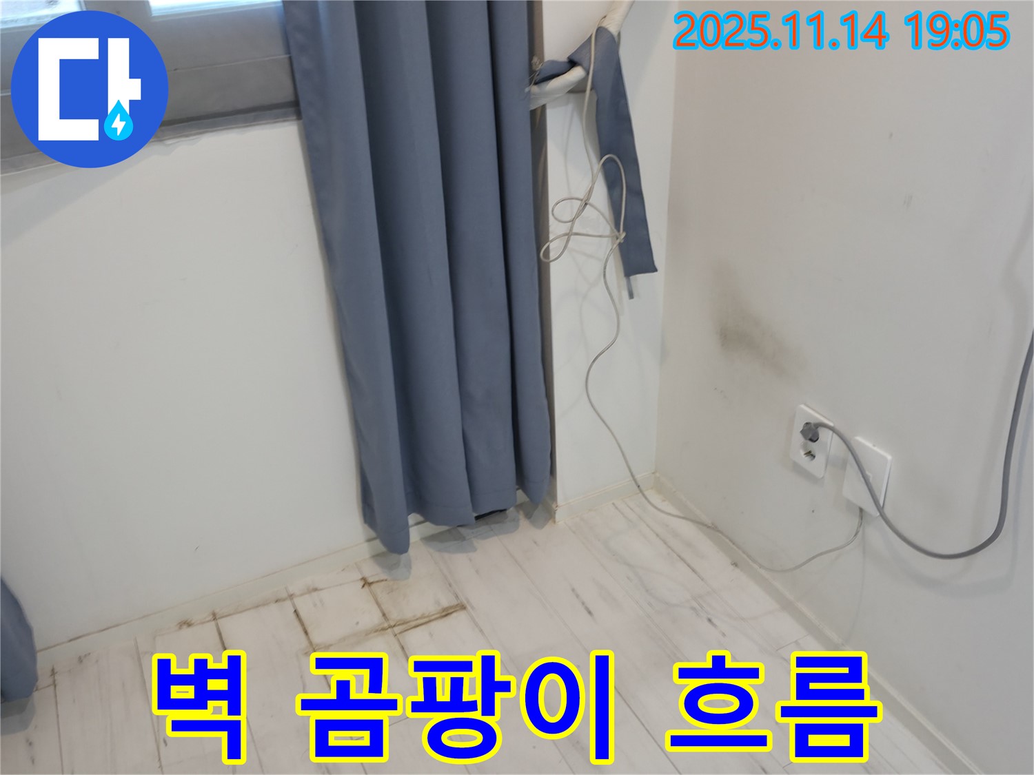 신림하이츠빌라 누수 - 벽 타고 흐르는 곰팡이 발견
