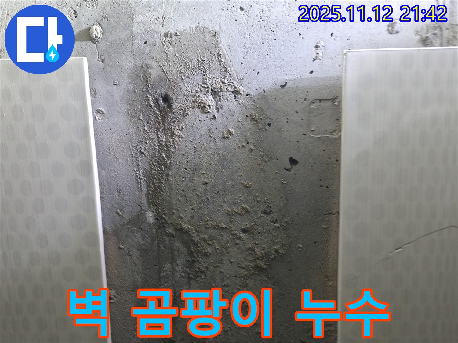벽 곰팡이 - 누수와 습기로 인한 문제 - 건강에도 해로울 수 있습니다.