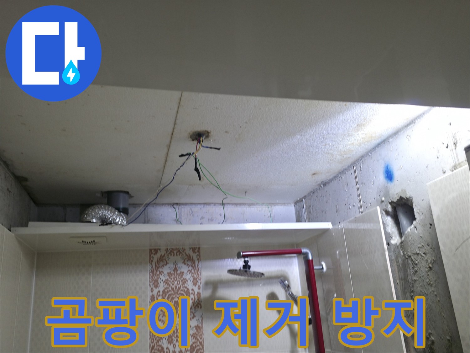 성북구 스카이힐스테이 - 욕실 천장 곰팡이 제거 및 방지 시공