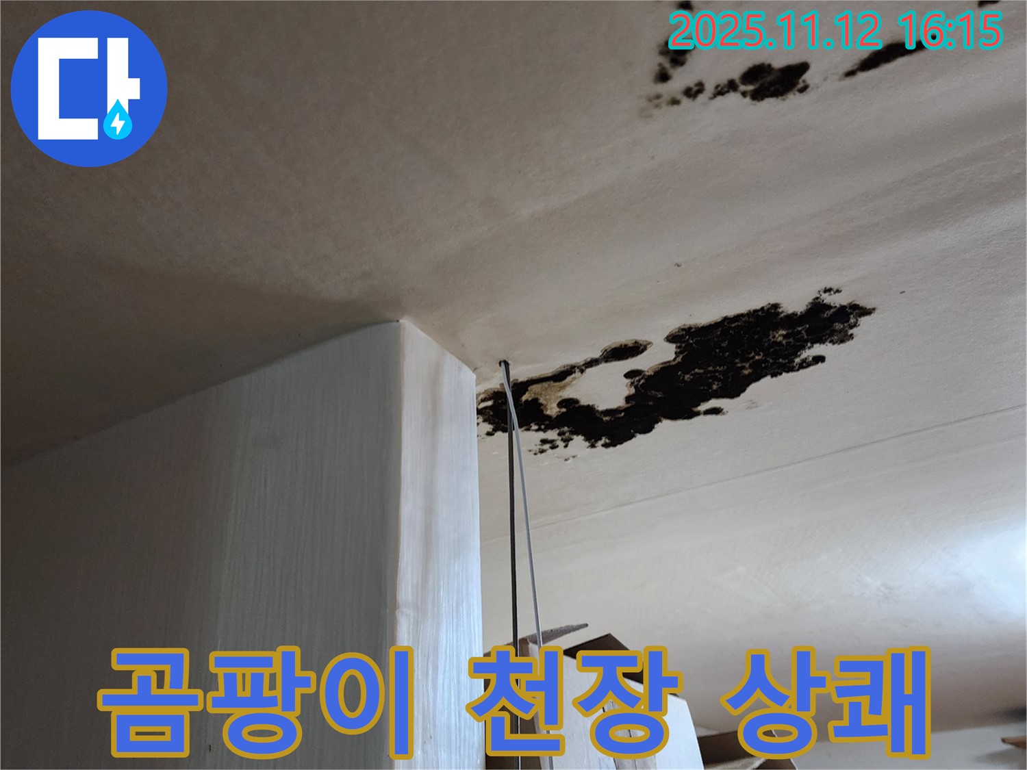 곰팡이 천장 - 누수 해결 - 포천 군내면 구읍리 누수 전문가가 상쾌한 공간으로
