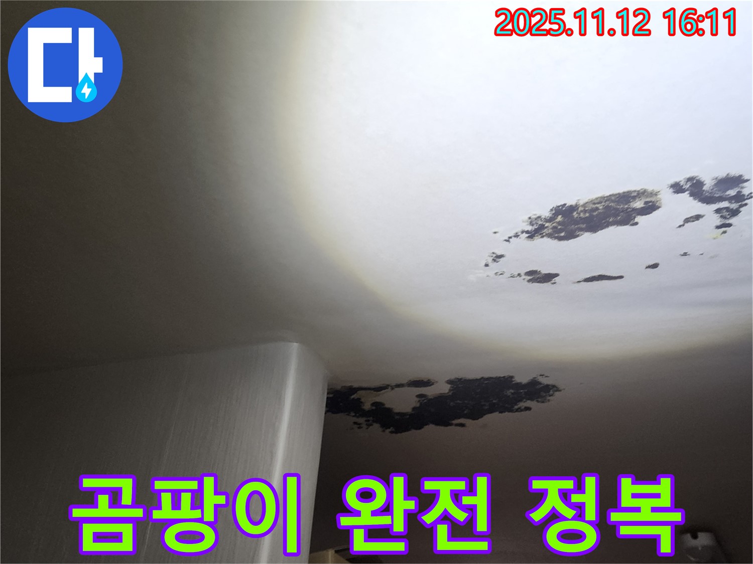 구읍리 누수 - 곰팡이로 뒤덮인 천장 완전 정복