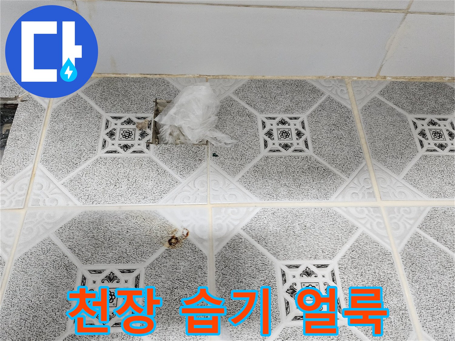 포천 구읍리 천장-곰팡이와 물자국으로 오염된 마감재